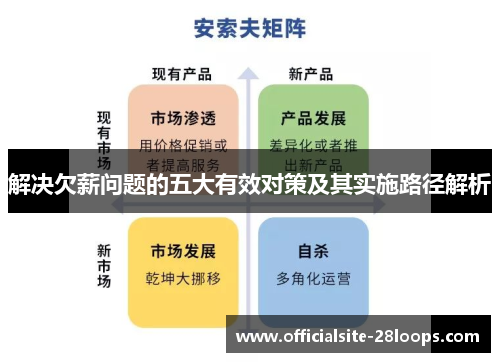 解决欠薪问题的五大有效对策及其实施路径解析