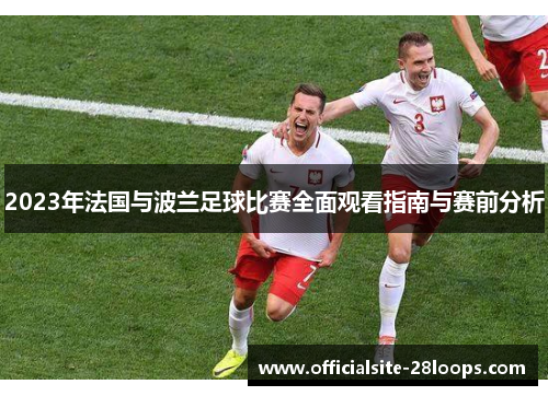 2023年法国与波兰足球比赛全面观看指南与赛前分析