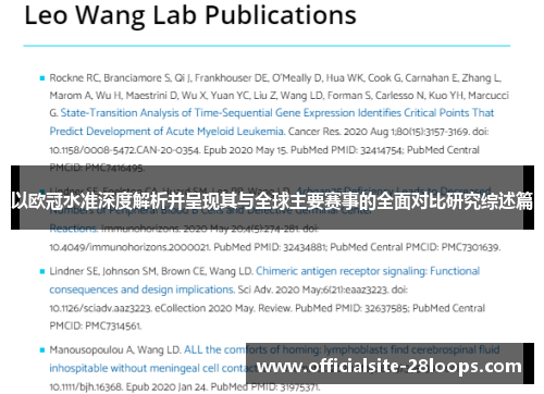 以欧冠水准深度解析并呈现其与全球主要赛事的全面对比研究综述篇