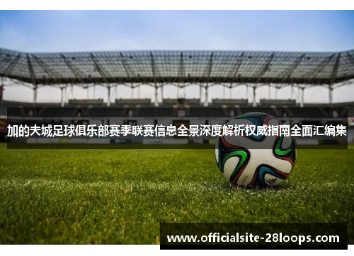 加的夫城足球俱乐部赛季联赛信息全景深度解析权威指南全面汇编集