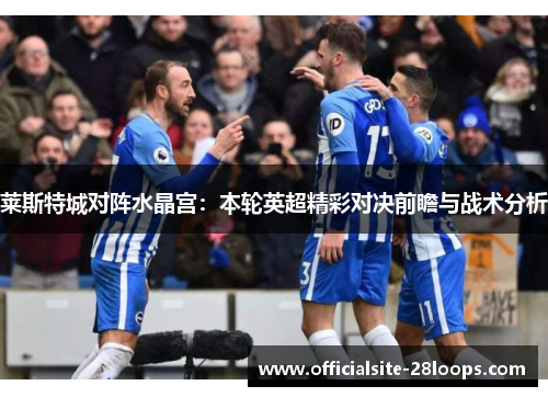 莱斯特城对阵水晶宫:本轮英超精彩对决前瞻与战术分析 莱斯特城对阵水晶宫:本轮英超精彩对决前瞻与战术分析