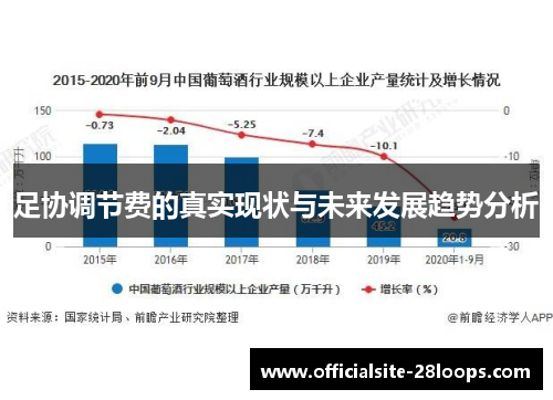 足协调节费的真实现状与未来发展趋势分析