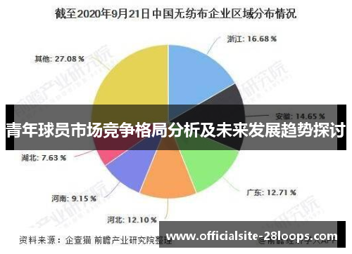 青年球员市场竞争格局分析及未来发展趋势探讨