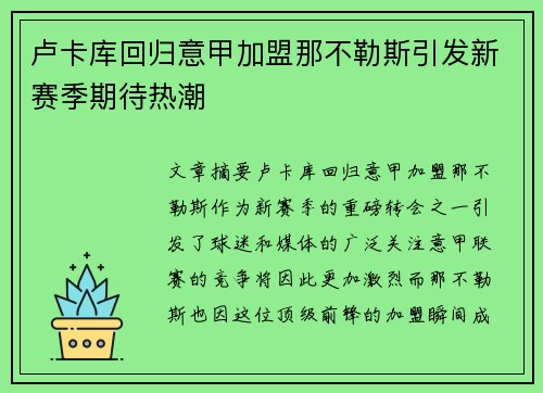 卢卡库回归意甲加盟那不勒斯引发新赛季期待热潮