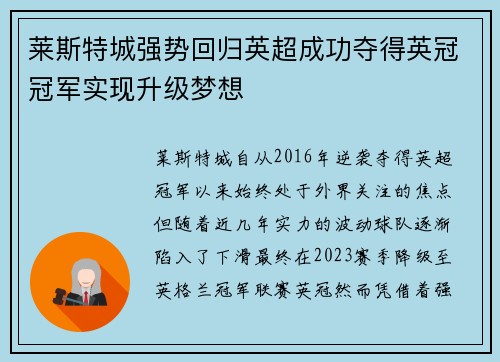 莱斯特城强势回归英超成功夺得英冠冠军实现升级梦想